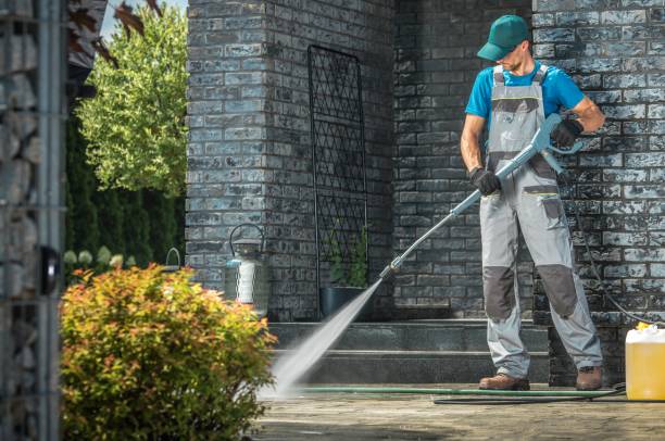 Best Fence Cleaning  in Fairfax, MN