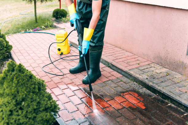Best Solar Panel Cleaning  in Fairfax, MN