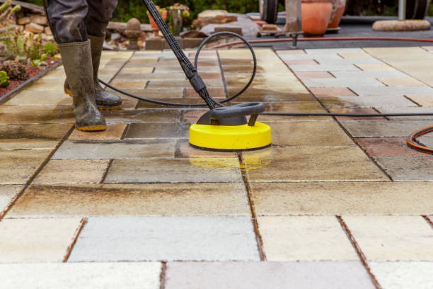 Best Patio and Deck Pressure Washing  in Fairfax, MN